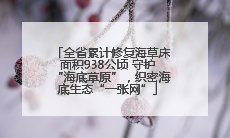 全省累计修复海草床面积938公顷 守护“海底草原”，织密海底生态“一张网”