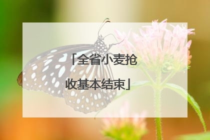 全省小麦抢收基本结束