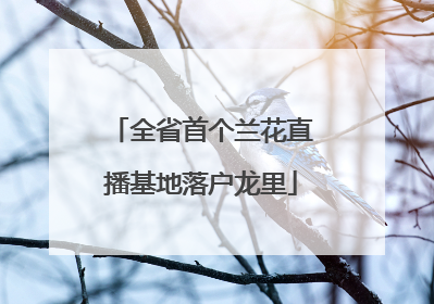 全省首个兰花直播基地落户龙里