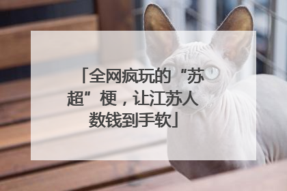 全网疯玩的“苏超”梗，让江苏人数钱到手软