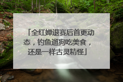 全红婵退赛后首更动态，钓鱼遛狗吃美食，还是一样古灵精怪