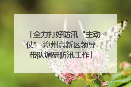 全力打好防汛“主动仗” 漳州高新区领导带队调研防汛工作
