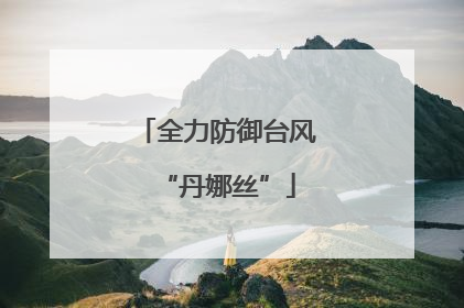 全力防御台风“丹娜丝”