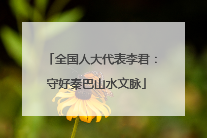 全国人大代表李君：守好秦巴山水文脉