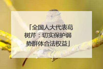 全国人大代表葛树芹：切实保护弱势群体合法权益