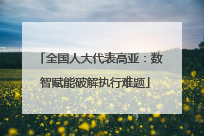全国人大代表高亚：数智赋能破解执行难题
