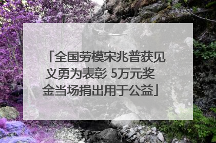 全国劳模宋兆普获见义勇为表彰 5万元奖金当场捐出用于公益