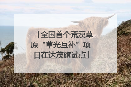 全国首个荒漠草原“草光互补”项目在达茂旗试点