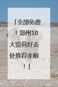 全部免费！郑州10大赏荷好去处推荐来啦！