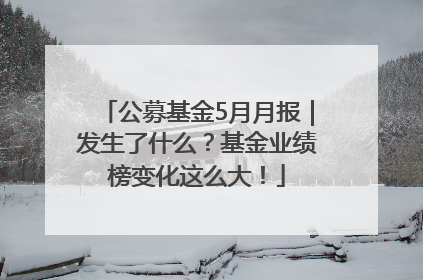 公募基金5月月报｜发生了什么？基金业绩榜变化这么大！