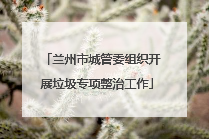 兰州市城管委组织开展垃圾专项整治工作