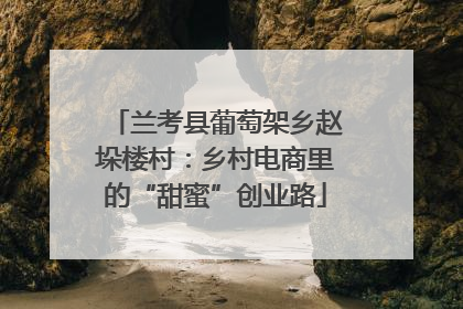 兰考县葡萄架乡赵垛楼村：乡村电商里的“甜蜜”创业路