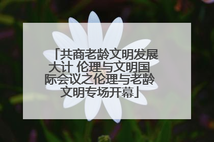 共商老龄文明发展大计 伦理与文明国际会议之伦理与老龄文明专场开幕