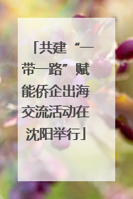 共建“一带一路”赋能侨企出海交流活动在沈阳举行