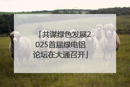 共谋绿色发展2025首届绿电铝论坛在大通召开