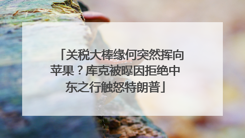 关税大棒缘何突然挥向苹果？库克被曝因拒绝中东之行触怒特朗普