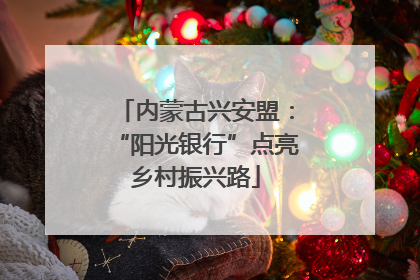 内蒙古兴安盟：“阳光银行”点亮乡村振兴路