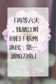 再等六天，钱塘江鲜回归！杭州渔民：第一波盼刀鱼