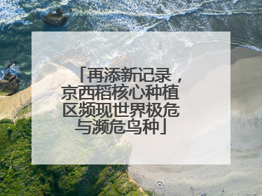 再添新记录，京西稻核心种植区频现世界极危与濒危鸟种