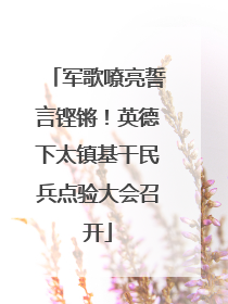 军歌嘹亮誓言铿锵！英德下太镇基干民兵点验大会召开