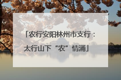 农行安阳林州市支行：太行山下“农”情涌