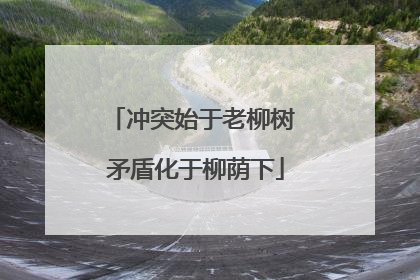 冲突始于老柳树 矛盾化于柳荫下