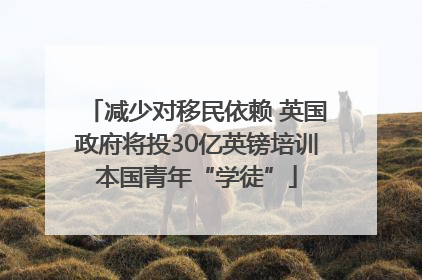 减少对移民依赖 英国政府将投30亿英镑培训本国青年“学徒”