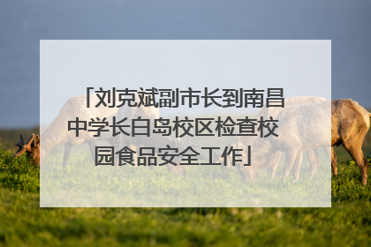 刘克斌副市长到南昌中学长白岛校区检查校园食品安全工作