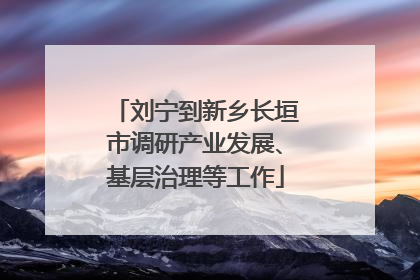 刘宁到新乡长垣市调研产业发展、基层治理等工作