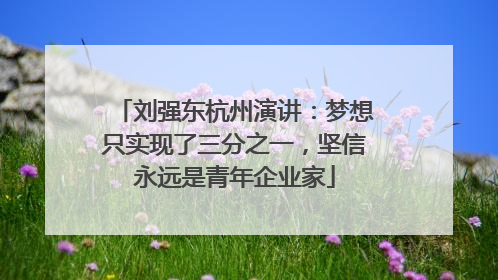刘强东杭州演讲：梦想只实现了三分之一，坚信永远是青年企业家
