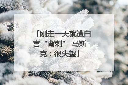刚走一天就遭白宫“背刺” 马斯克：很失望