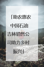 助农惠农 中国石油吉林销售公司助力乡村振兴