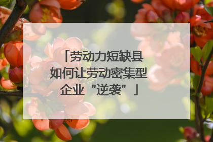 劳动力短缺县 如何让劳动密集型企业“逆袭”