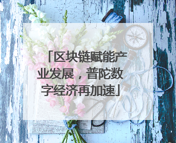 区块链赋能产业发展，普陀数字经济再加速