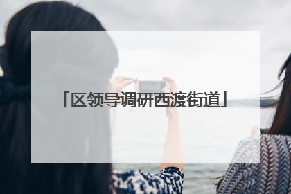 区领导调研西渡街道