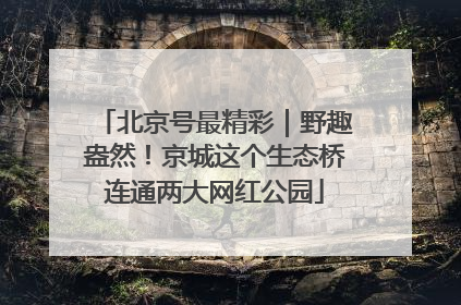 北京号最精彩｜野趣盎然！京城这个生态桥连通两大网红公园