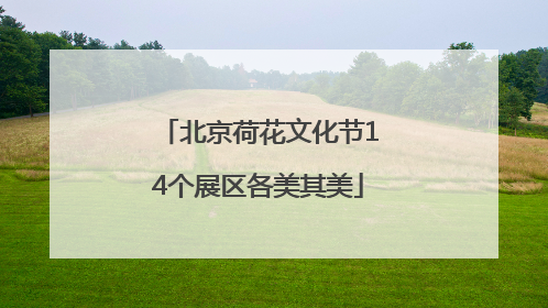 北京荷花文化节14个展区各美其美