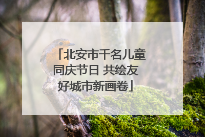 北安市千名儿童同庆节日 共绘友好城市新画卷