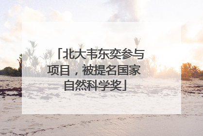 北大韦东奕参与项目，被提名国家自然科学奖