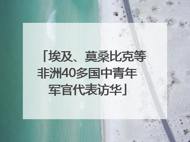 埃及、莫桑比克等非洲40多国中青年军官代表访华