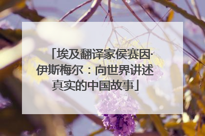 埃及翻译家侯赛因·伊斯梅尔：向世界讲述真实的中国故事
