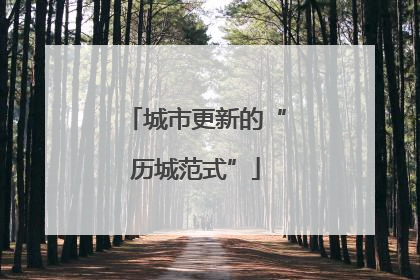 城市更新的“历城范式”