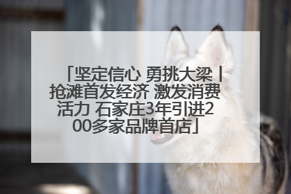 坚定信心 勇挑大梁丨抢滩首发经济 激发消费活力 石家庄3年引进200多家品牌首店