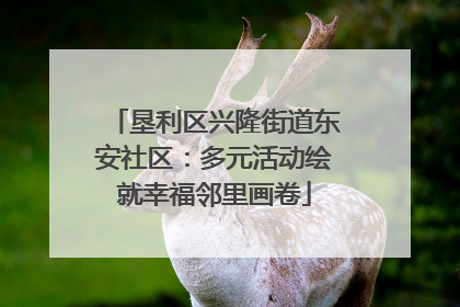 垦利区兴隆街道东安社区：多元活动绘就幸福邻里画卷