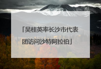 吴桂英率长沙市代表团访问沙特阿拉伯