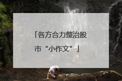 各方合力整治股市“小作文”