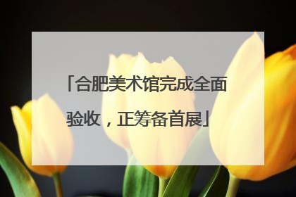 合肥美术馆完成全面验收，正筹备首展