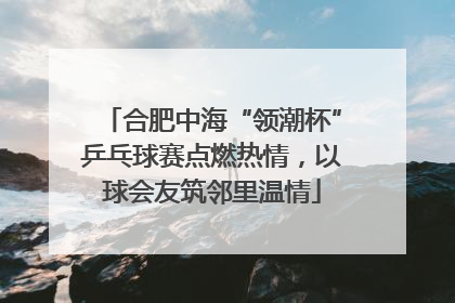 合肥中海“领潮杯”乒乓球赛点燃热情，以球会友筑邻里温情