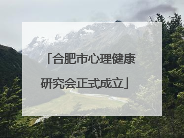 合肥市心理健康研究会正式成立