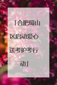 合肥蜀山区启动爱心送考护考行动